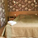 Ameda Vilnius